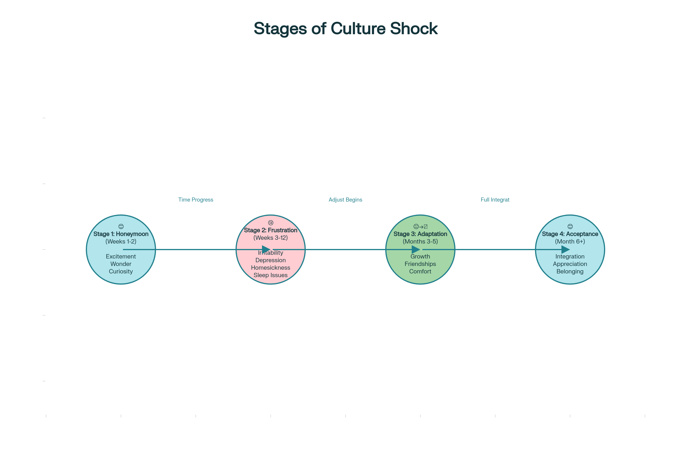 4 Stages of Culture Shock: Honeymoon (Weeks 1-2), Frustration (Weeks 3-12), Adaptation (Months 3-5), Acceptance (Month 6+)